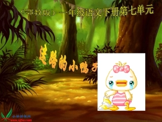 讲课！迷路的小鸭子j