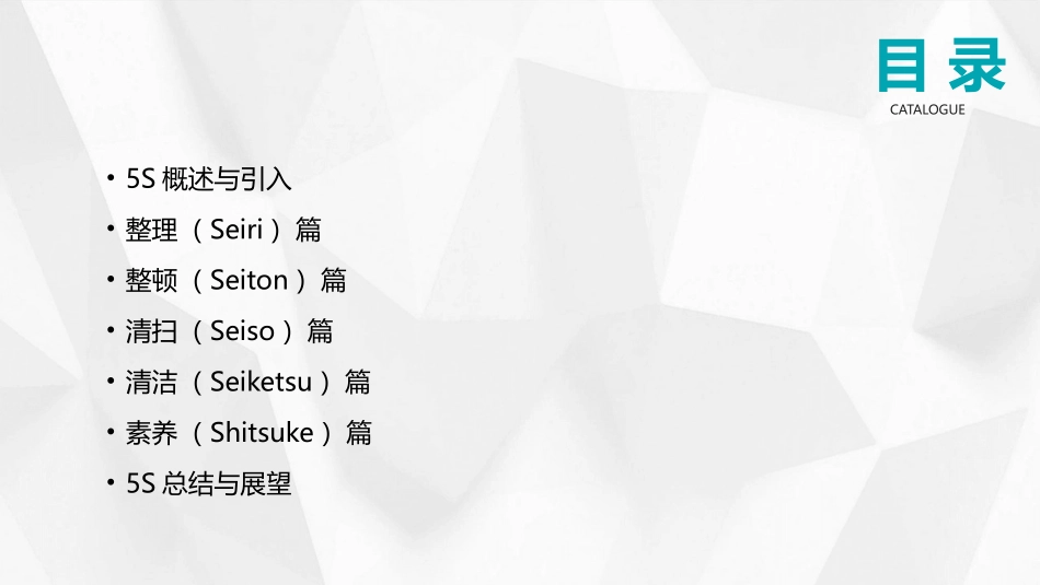 2024年5S培训漫画教程_第2页