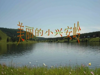 三年级下语文课件-美丽的小兴安岭_北师大版