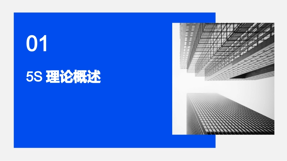 2024年5S培训：从理论到实践_第3页