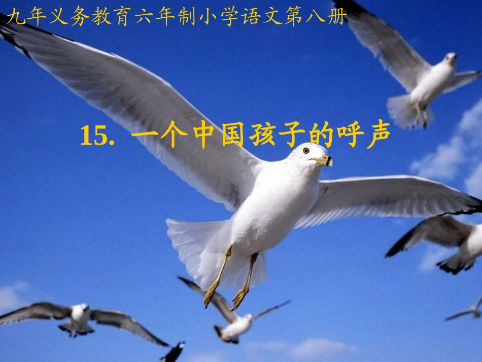 一个中国孩子的呼声 (3)_第1页