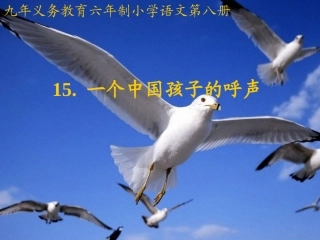 一个中国孩子的呼声 (3)