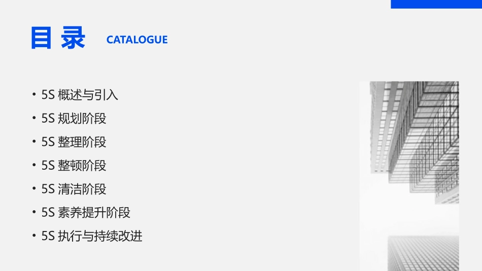 2024年5S培训：从规划到执行_第2页