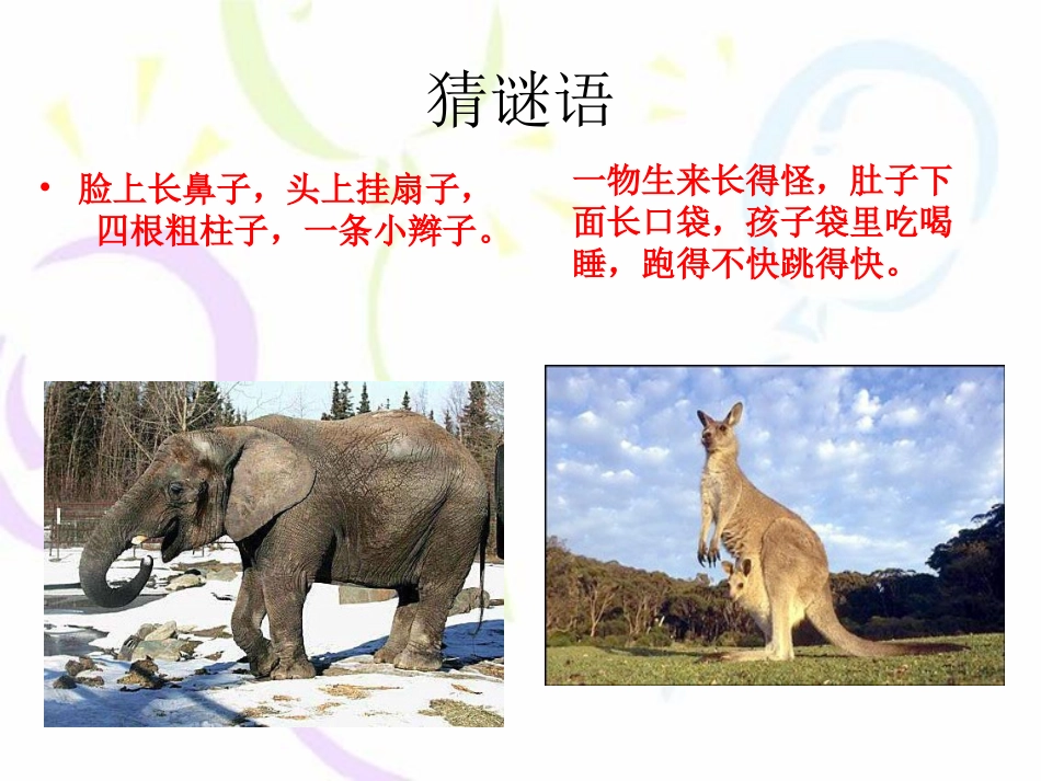 我最喜欢的动物_第2页