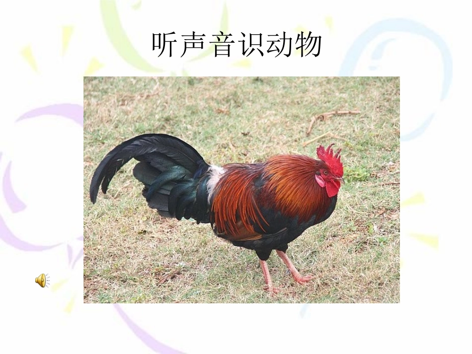 我最喜欢的动物_第3页
