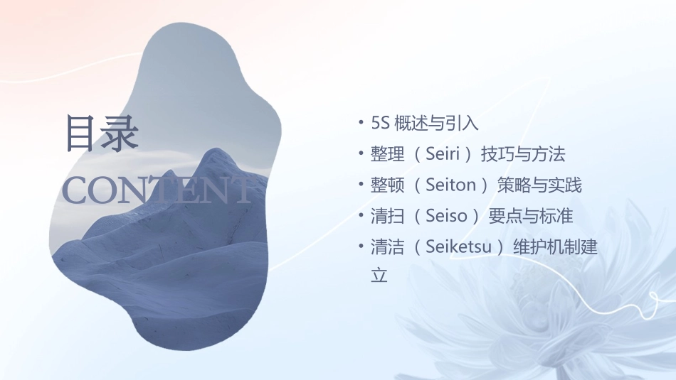 2024年5S培训：全面优化工作场所_第2页