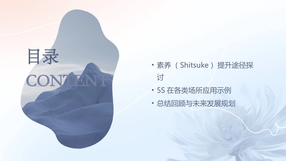 2024年5S培训：全面优化工作场所_第3页