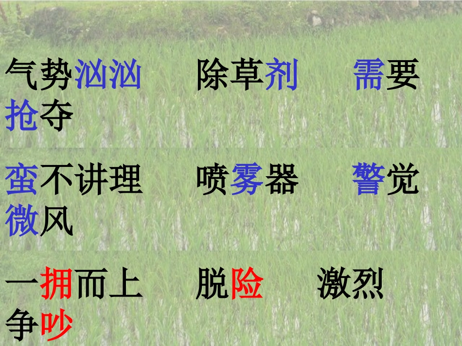 小稻秧脱险记 (2)_第2页