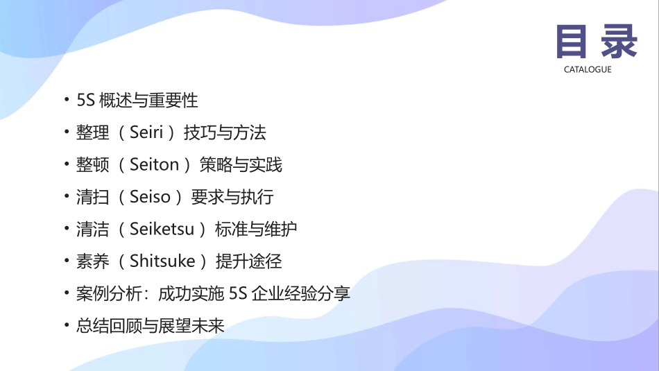 2024年5S培训：培养良好的工作习惯_第2页