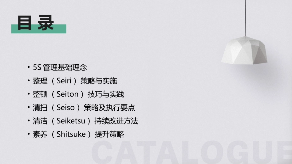 2024年5S培训：实现工作场所的变革_第2页