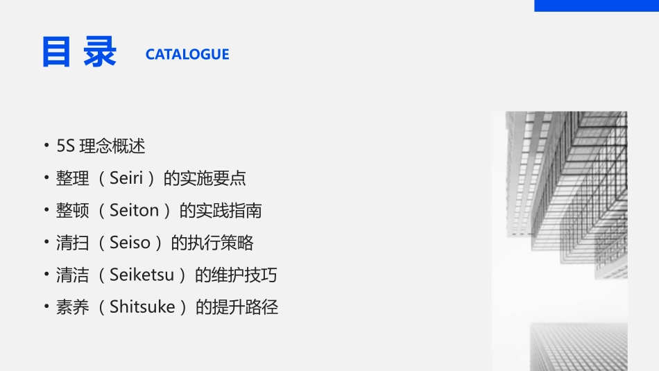 2024年5S培训：打造优质工作体验_第2页