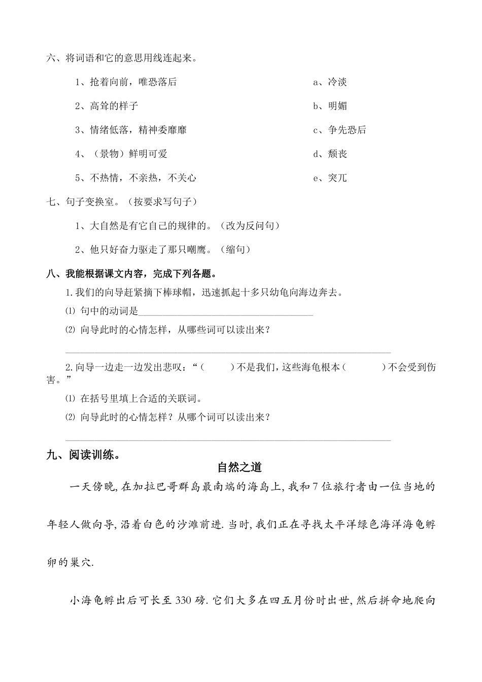 《自然之道》课后巩固练习_第2页