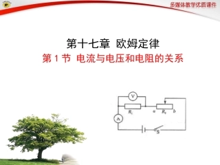 韦园菊-第1节电流与电压和电阻的关系