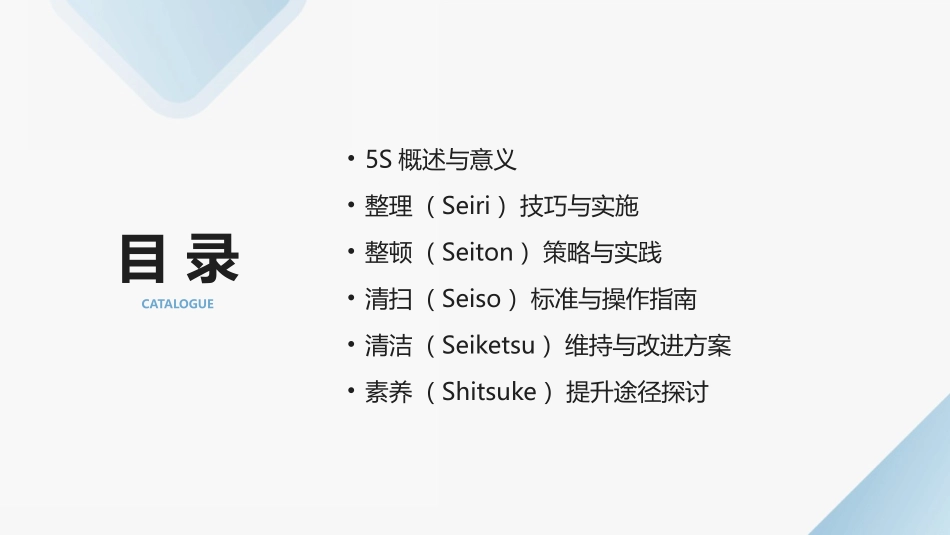 2024年5S培训：打造标准化工作环境_第2页