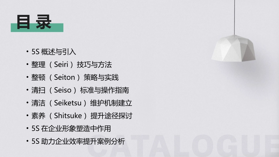 2024年5S培训：提升企业形象与效率_第2页