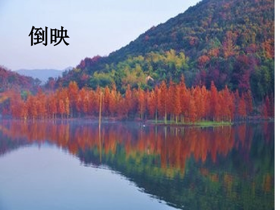 《小池塘》课件_第3页