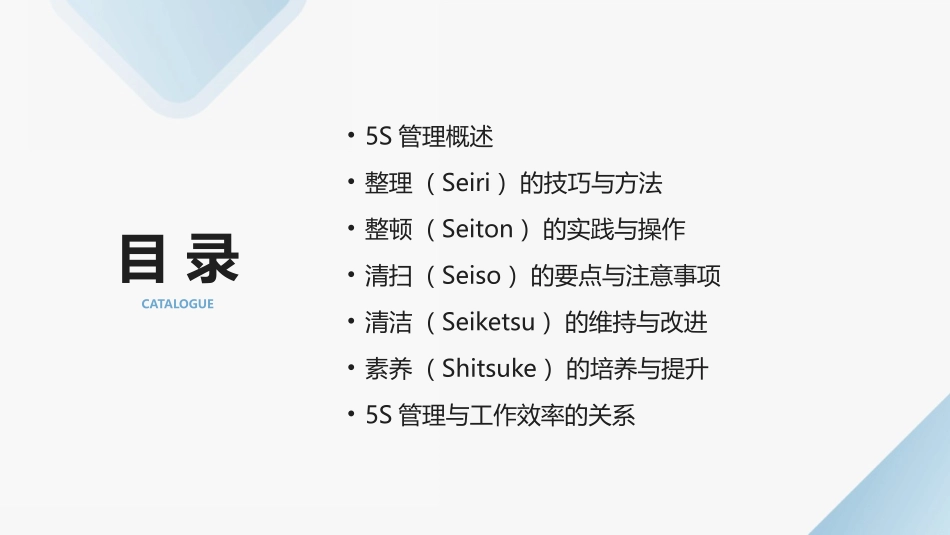 2024年5S培训：提升工作效率的秘诀_第2页