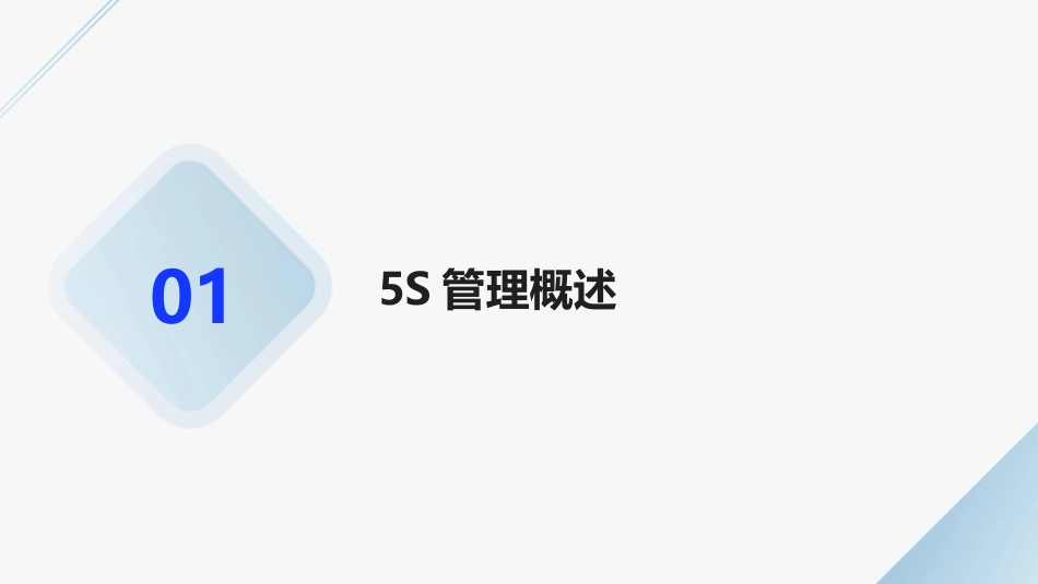 2024年5S培训：提升工作效率的秘诀_第3页