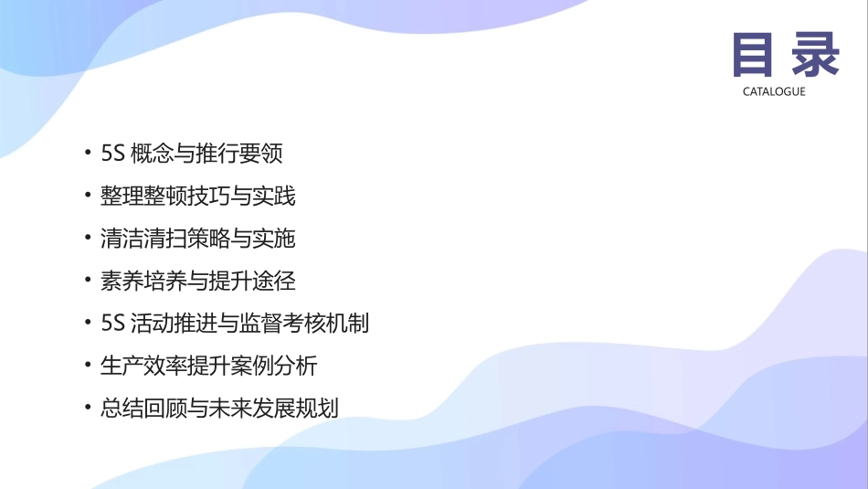 2024年5S培训：提升生产效率_第2页