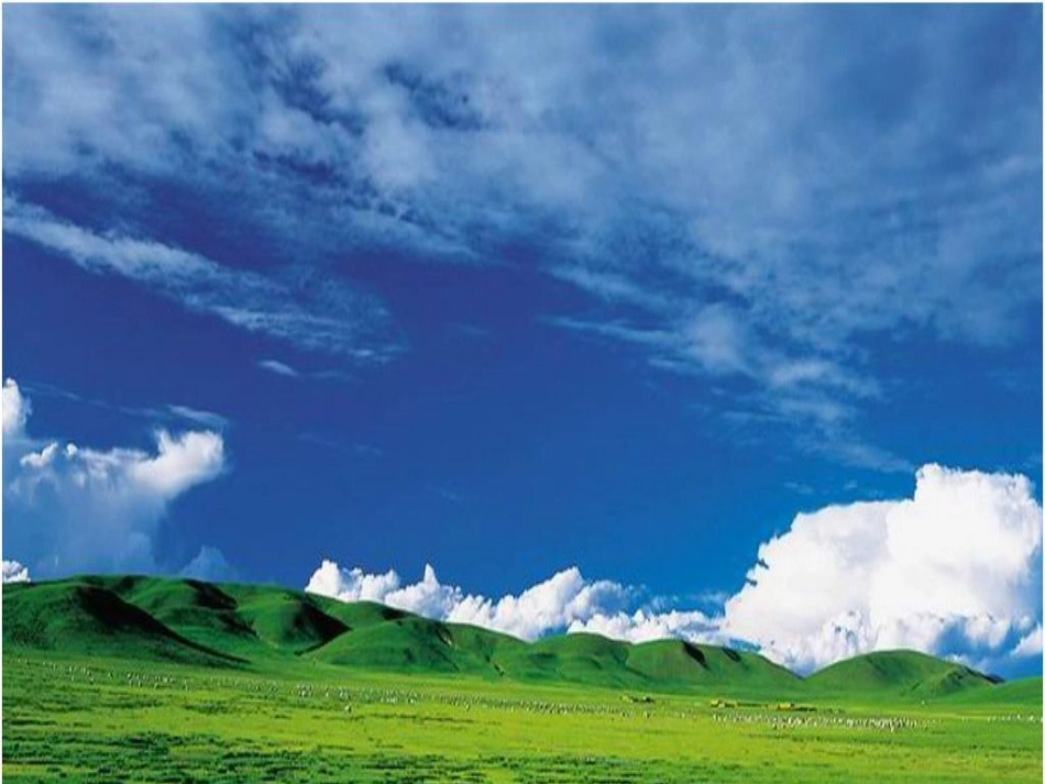 草原演示课件_第3页