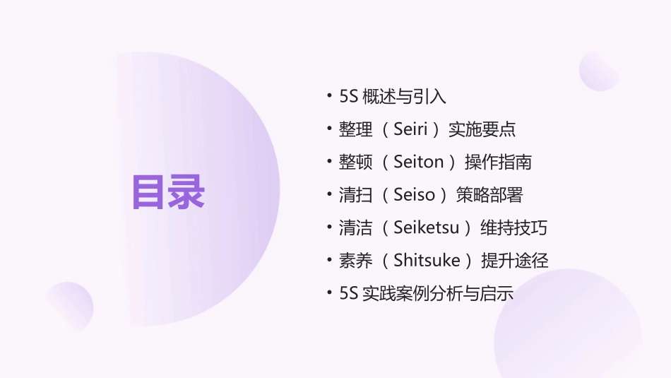 2024年5S培训：提高工作场所的安全性_第2页