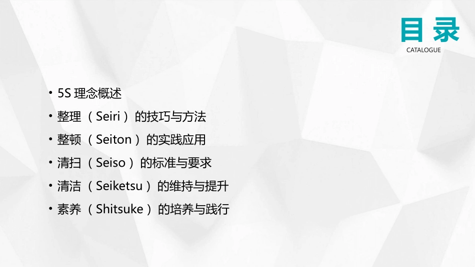 2024年5S培训：高效工作场所的秘密_第2页