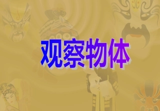 《观察物体》