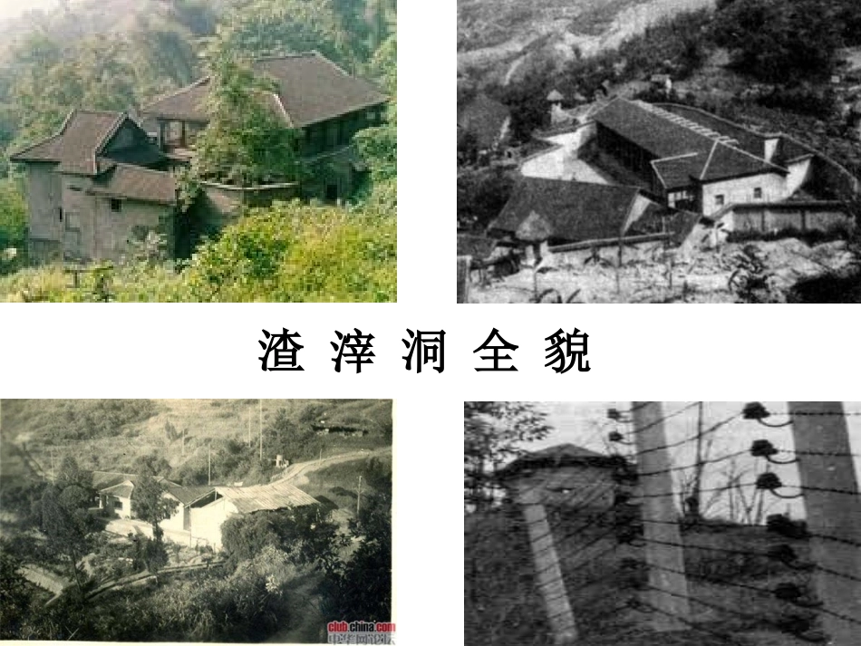 教科版语文六年级下册《最后的时刻》课件(1)_第3页