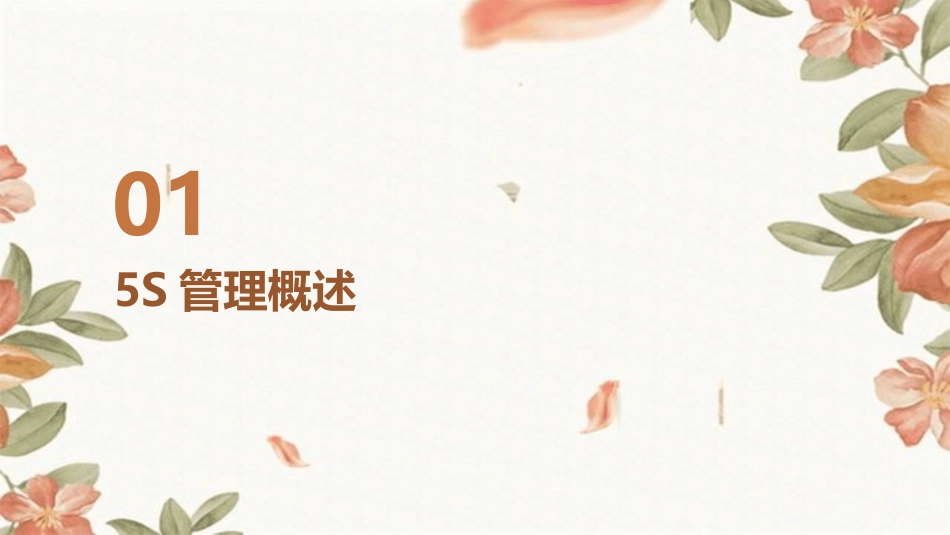 2024年5S管理漫画集培训教程_第3页