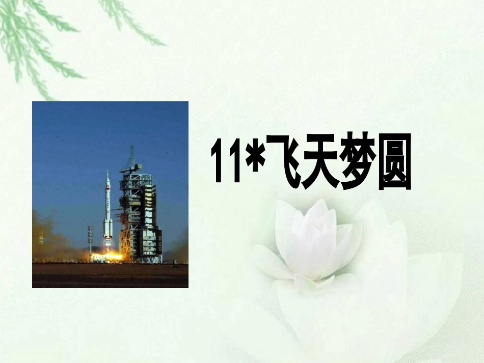 《飞天梦圆》果芳_第1页