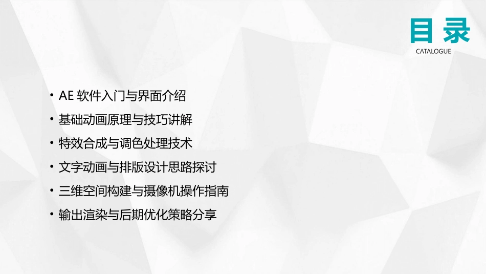 2024年AE基础培训教程：影视制作人必备技能_第2页