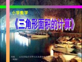 三角形面积的计算2