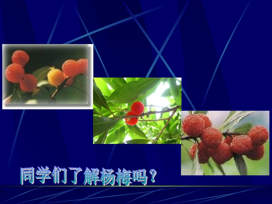 我爱故乡的杨梅_第2页