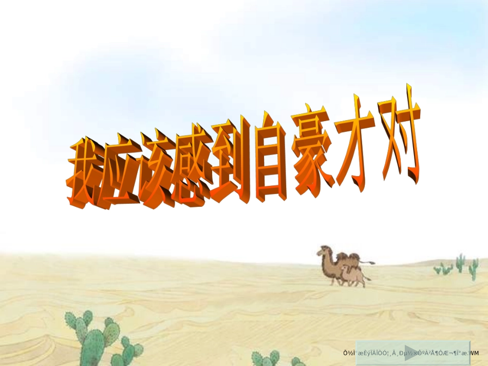 高晶自豪课件_第1页