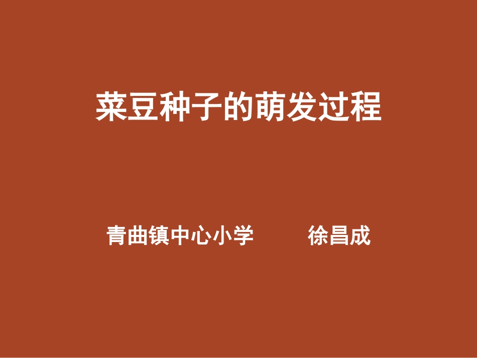 菜豆种子的萌发过程_第1页