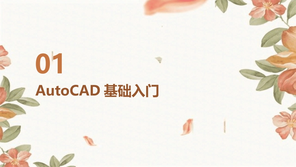 2024年AutoCAD教案设计：实现从学生到专业人士的飞跃_第3页