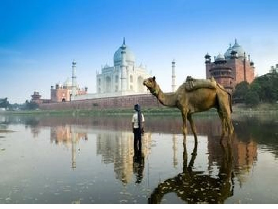 地理七下第六章第一节_第3页