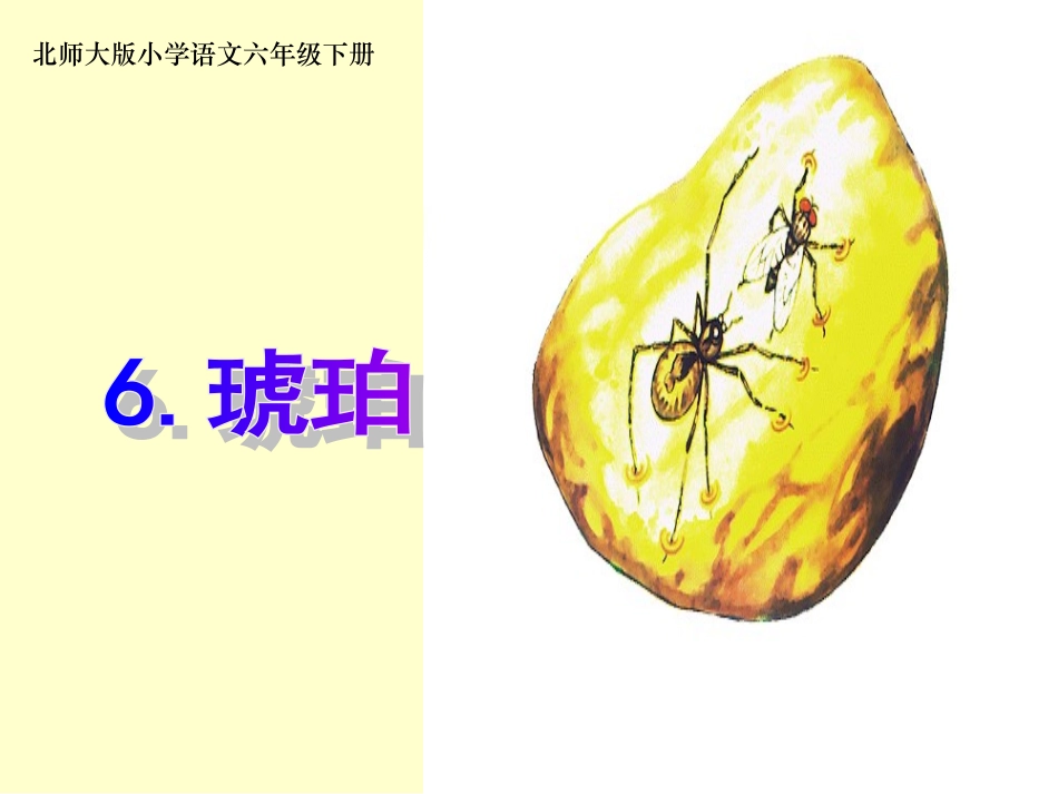 《琥珀》课件2_第1页