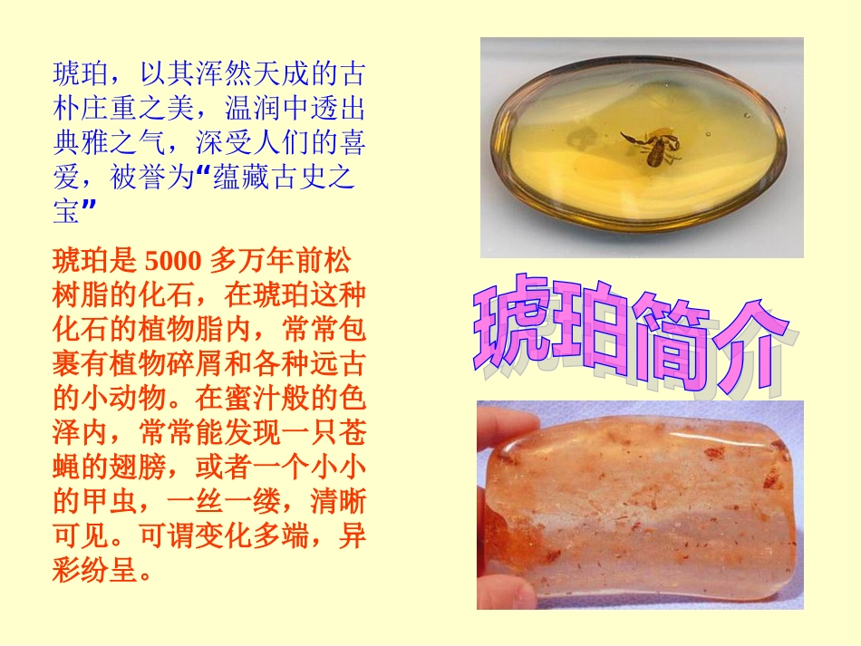 《琥珀》课件2_第2页