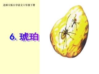 《琥珀》课件2