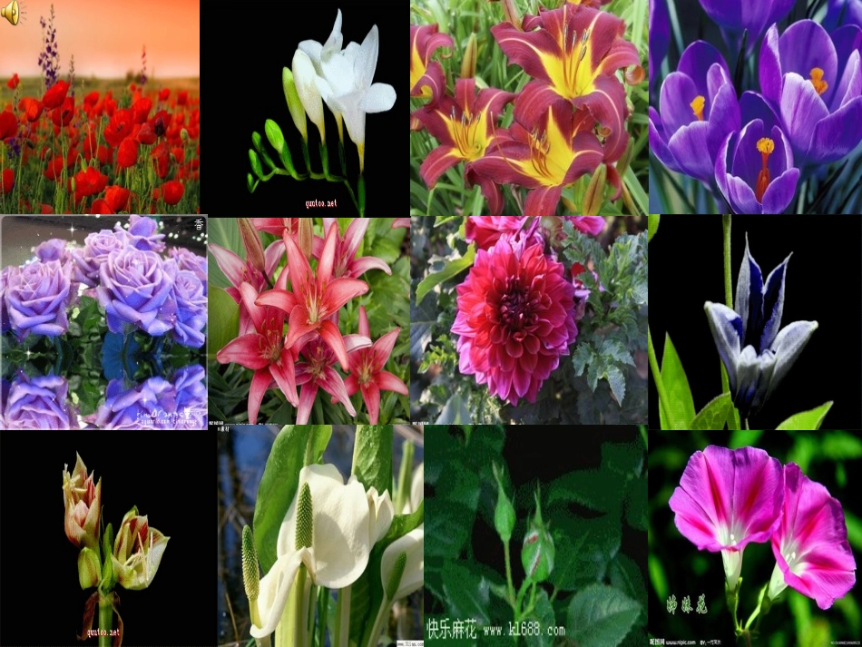 二年识字二1_第2页