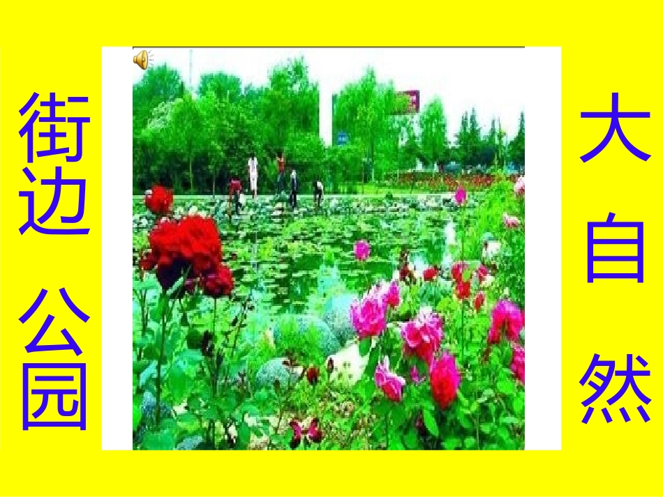 二年识字二1_第3页