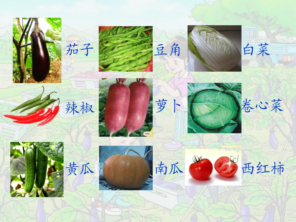 识字（二）3菜园里_第2页