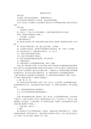 面积的初步认识