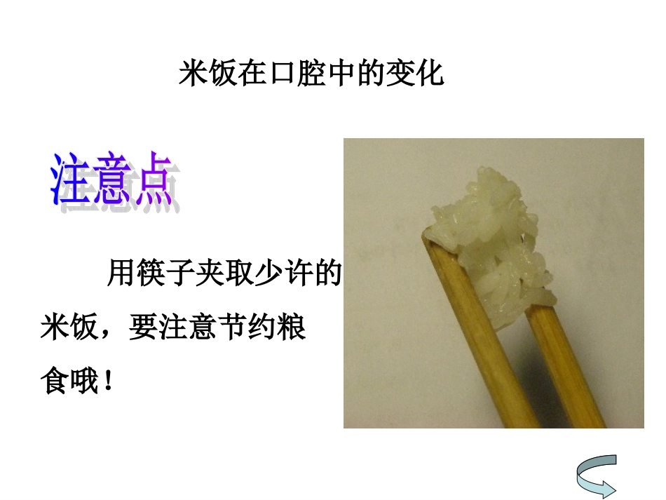 教科版小学科学六年级下册第二单元《米饭、淀粉和碘酒的变化》PPT课件_第2页