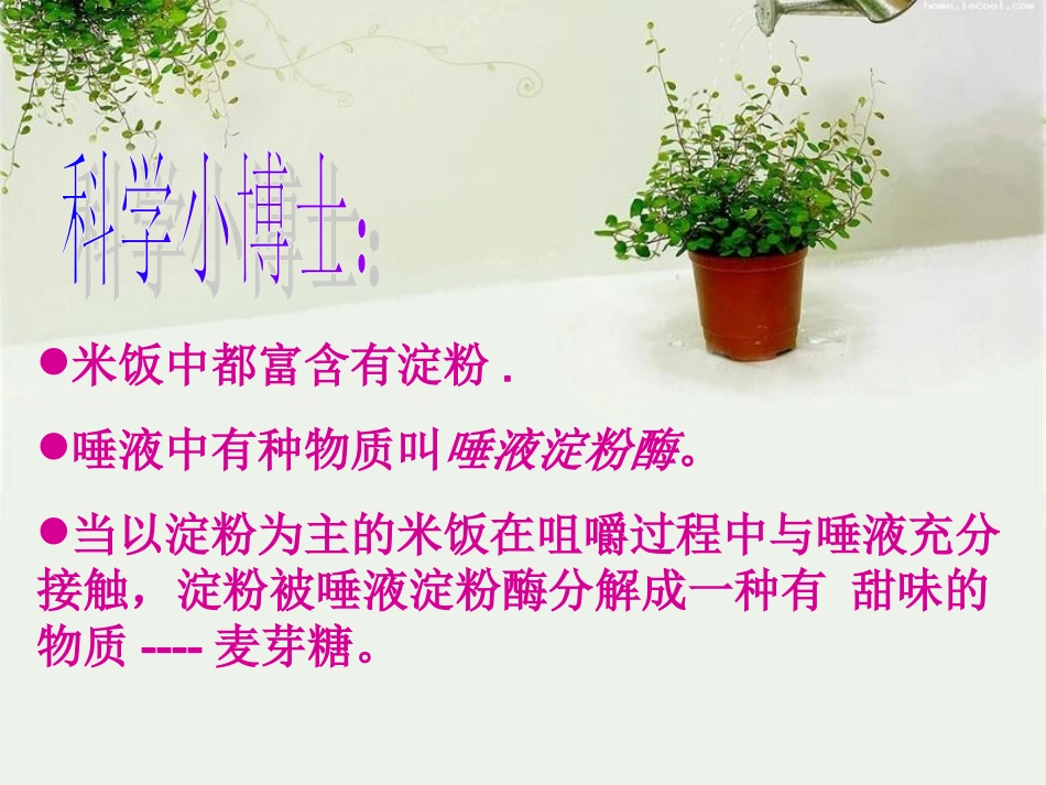 教科版小学科学六年级下册第二单元《米饭、淀粉和碘酒的变化》PPT课件_第3页