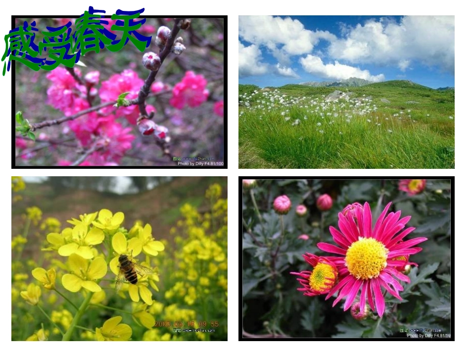 语文七年级人教版《春》接小丽_第2页