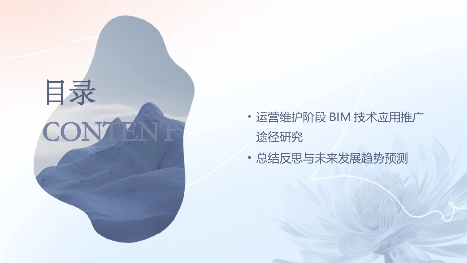 2024年BIM技术在历史文化建筑保护中的应用培训_第3页