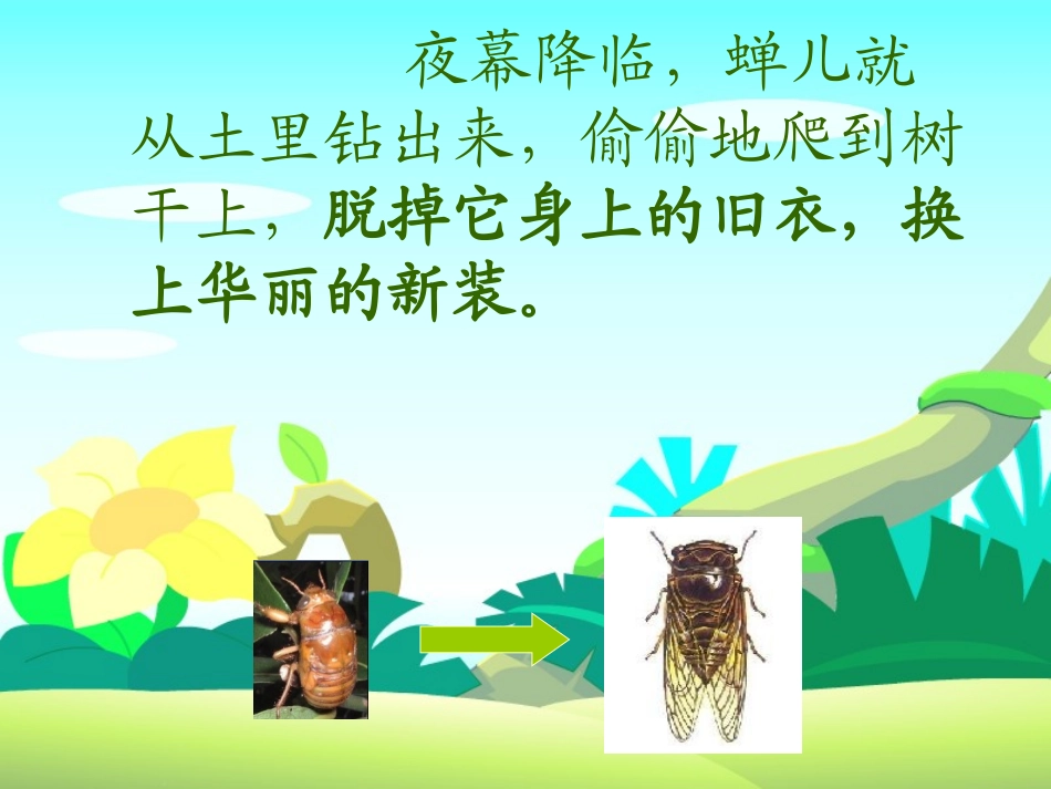 （苏教版）五年级语文上册课件金蝉脱壳4_第2页