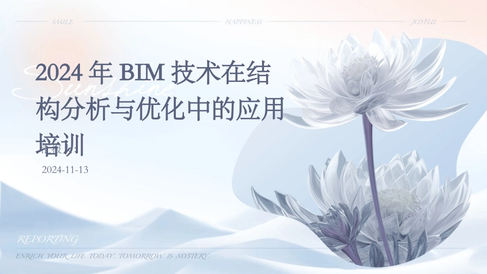 2024年BIM技术在结构分析与优化中的应用培训_第1页